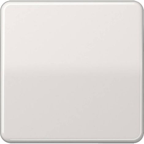 Jung 1 parte Placca di copertura Commutatore, Pulsanti Grigio CD590LG 1 pz. (1/2)