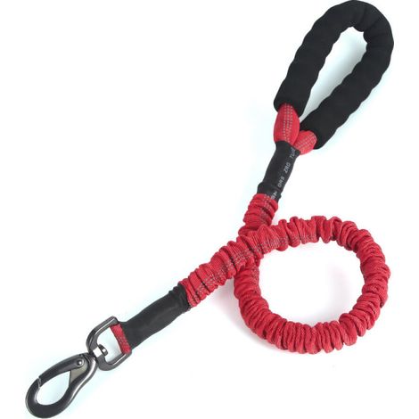 Laisse pour grands chiens, 20-60 kg, résistante, élastique (120 cm, rouge) Laisse pour chien (1/3)