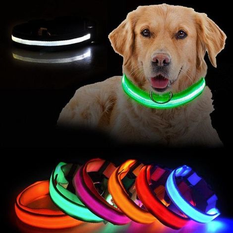 Collier chien LED rechargeable noir XL - Harnais lumineux réfléchissant pour chien, taille extra-large, noir (1/4)