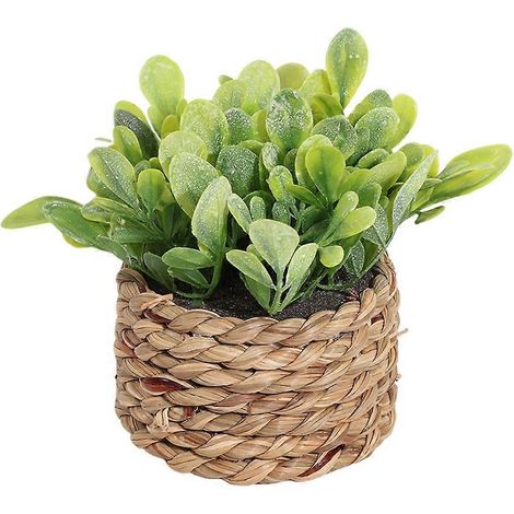 Petites plantes artificielles en pot, jardinières tressées à la main en jonc de mer, plante d'eucalyptus pour la décoration de la maison, de la salle de bain, d'une étagère, d'une table ou d'un bureau (1/5)