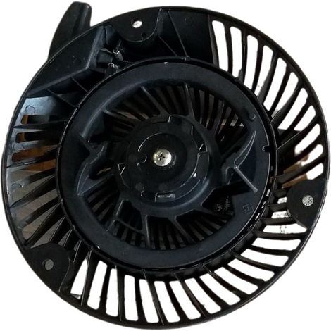 Original Briggs & Stratton 793470 Seilzugstarter/Handstarter - Passend für viele B&S-Motoren (1/2)
