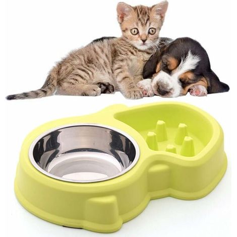 Cuenco doble de agua y comida, 1 de acero inoxidable y 1 antiglotón para gatos y perros pequeños (verde) (1/5)