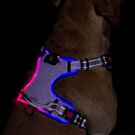 Rechargeable Reflective Dog Harness with Control Handle and LED Lighting Size M Purple (1/4)