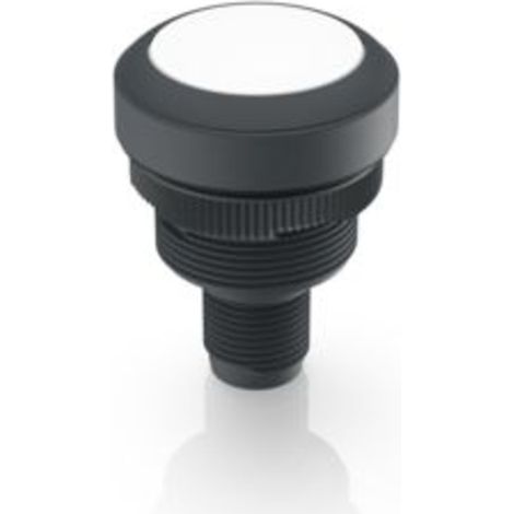 RAFI 1.10.011.001/0221 RAMO 22 T Drucktaster 35 V/DC 0.1 A  tastend  (L x B x H) 40 x 29.8 x 29.8 mm