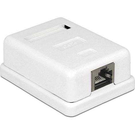 Delock Toma de pared RJ45 Cat 6 blanco red (1/4)