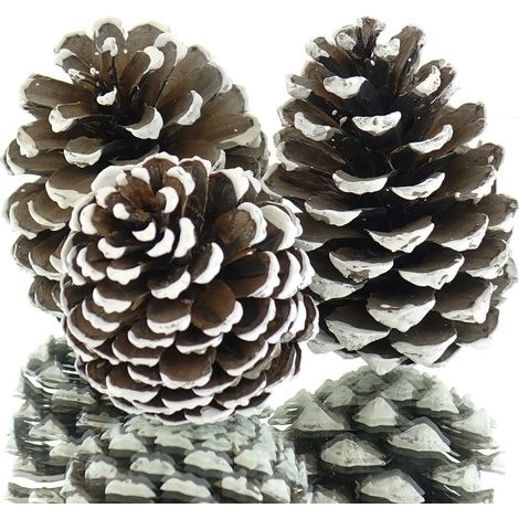 Kaemingk Weihnachtsdeko Zapfen Natur mit weißen Spitzen - 3 Stück