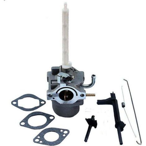 Carburateur pour Briggs & Stratton 796122 794593 20A (1/4)