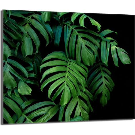 Protector de cristal para encimera 60x52 Monstera (1/5)