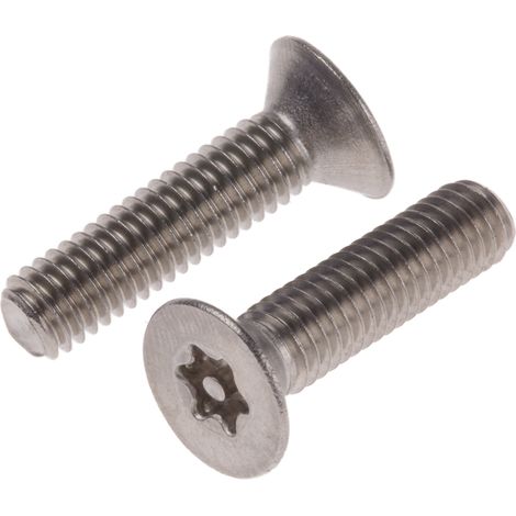 Vis de sécurité inviolable, M6 x 25mm, tête plate, en Acier Inoxydable A2 304 ( Prix pour Sachet de 50 )