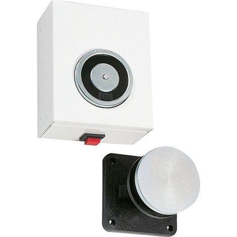 Groom – Ventouse 24V avec interrupteur et plaque – Prise connectée pour contrôle à distance – Compatible avec systèmes domotiques