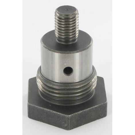 Perno cerniera LELY 4104306430 (1/2)