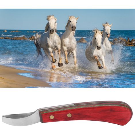 Ciseau à sabots en acier courbé, outil de nettoyage et de coupe des sabots avec manche en bois pour maréchal-ferrant (1/5)