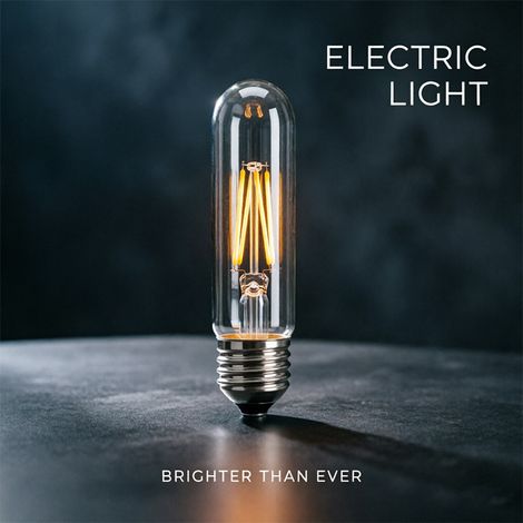 Lot de 2 ampoules LED à filament vintage T125 culot E26 110V, ampoule Edison tubulaire dimmable, lumière chaude en verre transparent pour décoration (1/3)