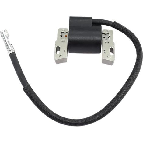 Nouveau Bobine d'allumage pour Briggs & Stratton 495859 491312 490586 492341 28C707 28D707 31G777 303447 303777 286702 286707 convient à l Head 10-13HP et Vanguard 9hp, 12.5hp et 14hp