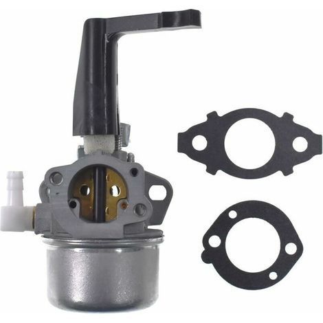 Carburador de repuesto con kit de juntas para Briggs & Stratton 696065 697422 110402-0206-E1 (1/4)