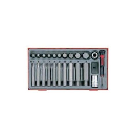 Teng Tools Set di strumenti di precisione in metallo 20 punte