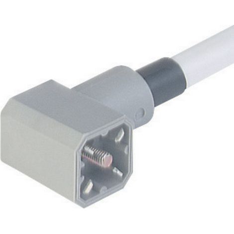 Prise mâle avec câble moulé Hirschmann G 30 KW M 931 783-001-1 gris Pôle:3 + Terre 1 pc(s)