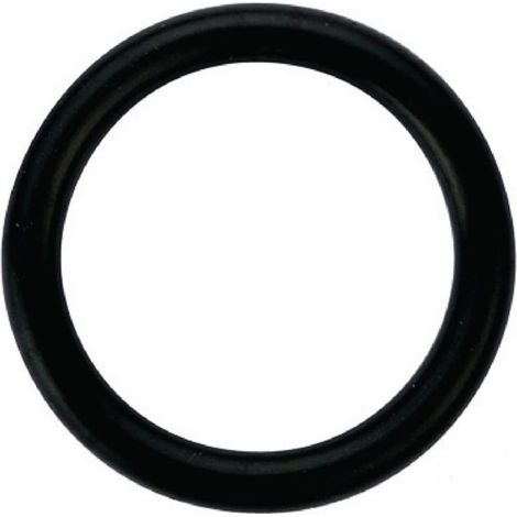 54665 Joints (x20) toriques - noir