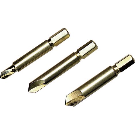 Berger & Schröter 813226 Schraubenausdreher-Set