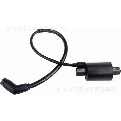 Applicable à la bobine d'allumage haute tension Linhai 260 Gio Bear Daymak Grunt Midwest (1/5)