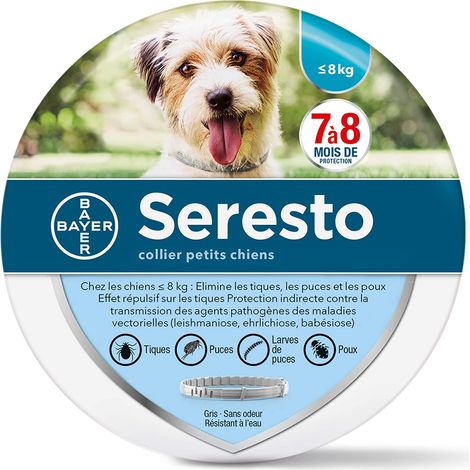 Perro – Collier Antipulgas et Antigarrapatas para Perros Pequeños - Menos de 8KG os de fresa JM (1/5)