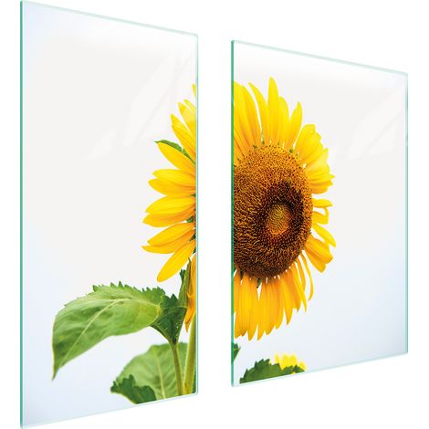 PLACA PROTECTORA DE VIDRIO 75x52 FLOR (1/5)