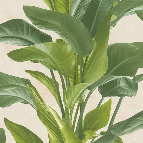 BRICOFLOR Papier peint Beige / Crème - Papier peint Fleuri - 10,05 x 0,53 m (1/5)
