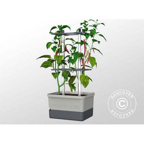 Planter, CHARLY CHILI, w/stake and water tank, Light Grey - Dancover (1/2)