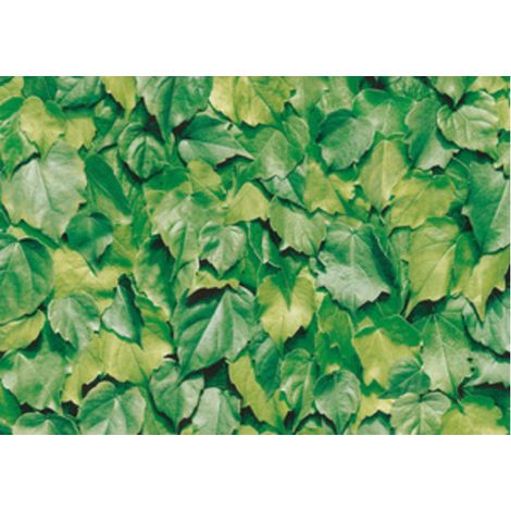 Plastica Adesiva Alkor 280.3170 Foglie Verdi 15 m Hornschuch Italia 1,0