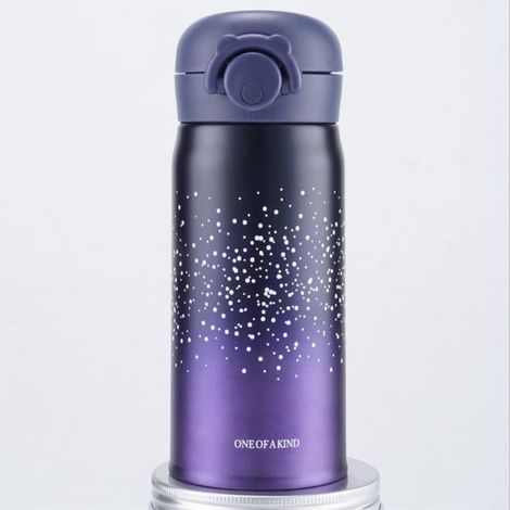 Bouteille Isolante Isotherme 500ml Gourde En Acier Inox Vide (1/4)