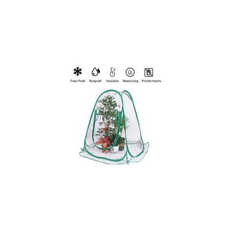 Mini Serre de Jardin en PVC – Couverture Protectrice pour Plantes, Abri Anti-Gel et Anti-Pluie, Idéale pour Fleurs et Potager (1/5)