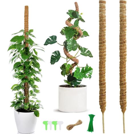 120 cm Tuteur Plante Grimpante Pliables, 2 Pièces Tuteur Coco, Plantes Poteaux en Mousse Sphaigne avec Serre Câbles, Etiquettes et Ficelle de Jute pour Maison Jardin de Support de Plante (1/5)