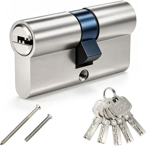 Cylindre de serrure 30/30, serrure à cylindre 60 mm avec 5 clés (1/5)