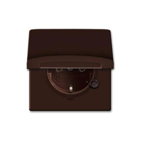 Busch-Jaeger Schuko-Steckdoseneinsatz IP44 braun 20 EUGK-31-101 (1/5)