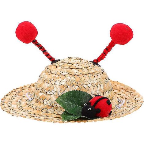 Der neue kleine Hundehut (1 Stück)
