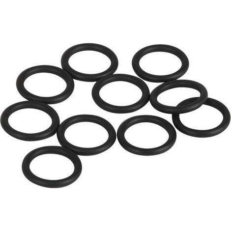 BOSCH O-Ring (10x), 87002051280