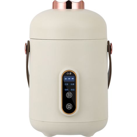 Tasse électrique portable mini pour bouillir eau, porridge et lait - Pot multifonction santé avec prise CN (1/5)
