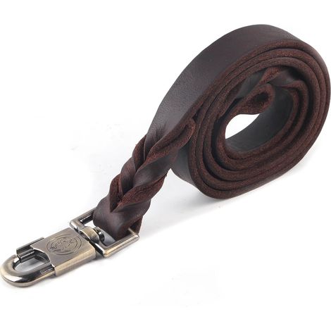 GARRYFIZH Collier et laisse pour chien en cuir souple tressé - 2,5 x 120cm - Parfait pour les petites races