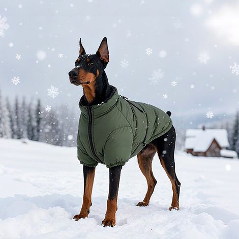 Abbigliamento per cani, cani di grossa taglia, animali domestici, giacche imbottite in cotone, abbigliamento in pile, 3XL (1/4)
