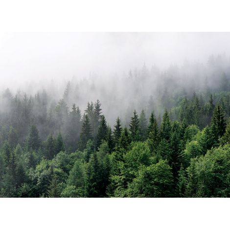 papier peint panoramique montagnes avec des arbres vert - Sanders & Sanders (1/3)