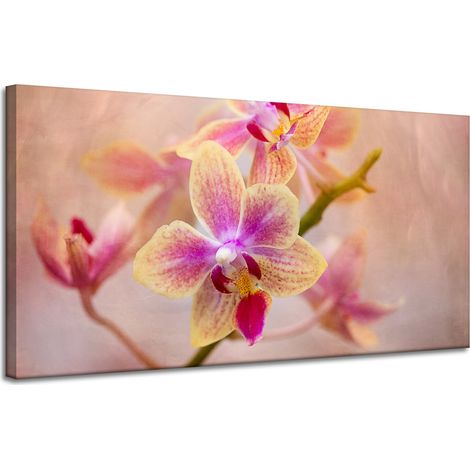 Leinwanddruck Botanik Blume Orchidee 120x60 cm