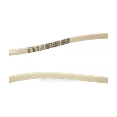Courroie pour Lave-Linge ELECTROLUX 1326721006 (1/2)