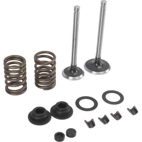 Ensemble de rondelles élastiques et clips de verrouillage en fer résistant à l'usure et à la corrosion pour vannes de micro-barboteuse et générateur (1/5)