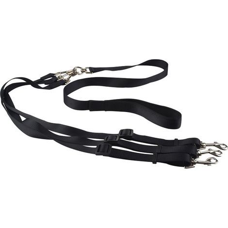 Laisse 3 en 1 anti-embrouillement pour chien, noir (1/5)
