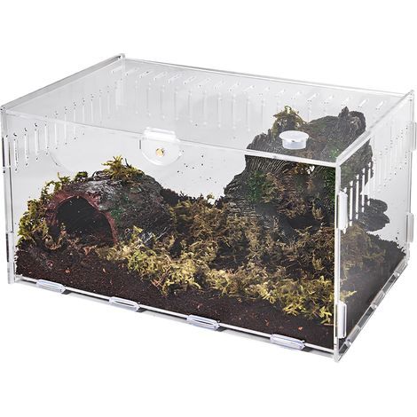 Acryl-Terrarium, transparent, stoßfest, 20 x 12 x 12 cm, Reptilien- und Pflanzenhabitat, für Zuhause oder Büro (1/5)