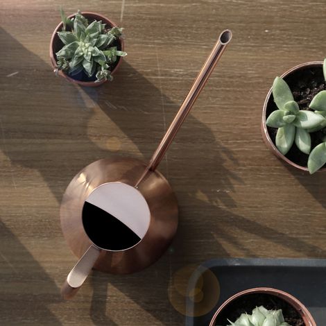Arrosoir domestique en acier inoxydable pour plantes vertes et fleurs, pot de jardin, bouilloire couleur bronze