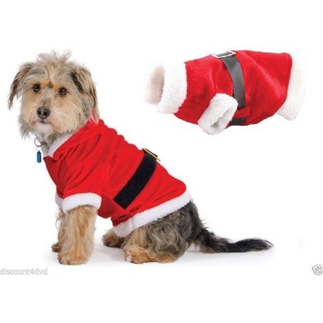 22cm Small Dog Christmas Santa Suit Red Costume with White Fur Trim and Tummy Fastening (1/5)