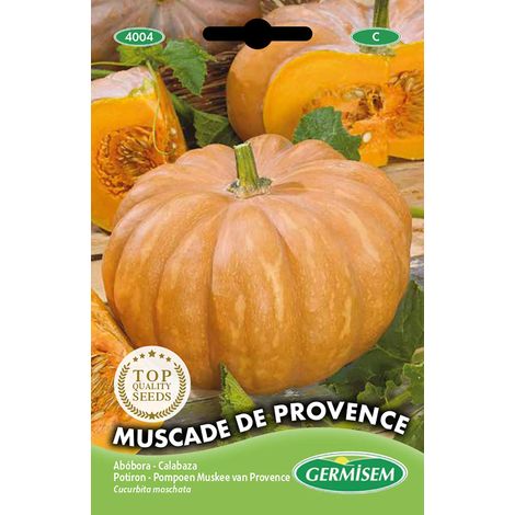 graines Potiron MUSCADE DE PROVENCE