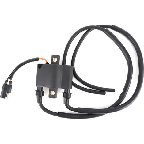 Bobine d'allumage Auto Moto Partie 4010898 pour Polaris Sportsman 600 700 2004 2005 2006 (1/4)
