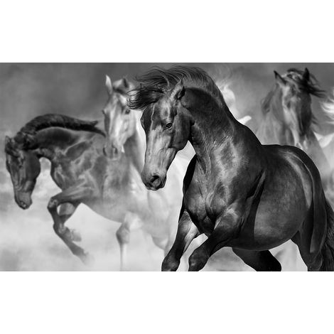 Affiche cheval sauvage en plein galop, 60x40cm - made in France (1/5)